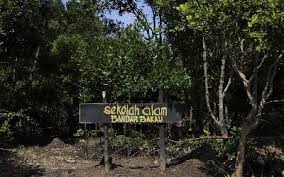 DLH Bengkalis Usulkan  Kelompok Pelestarian Mangrove Putri Hijau Penerima SLB
